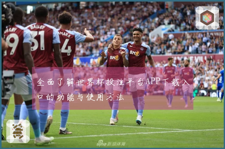全面了解世界杯投注平台APP下载入口的功能与使用方法