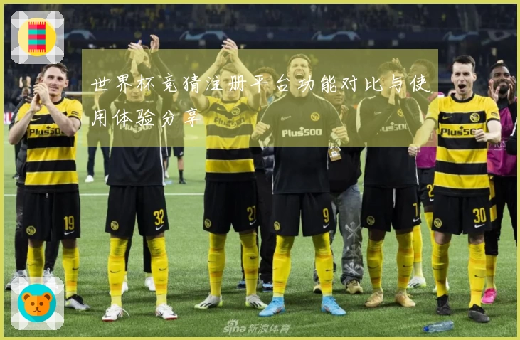 世界杯竞猜注册平台功能对比与使用体验分享