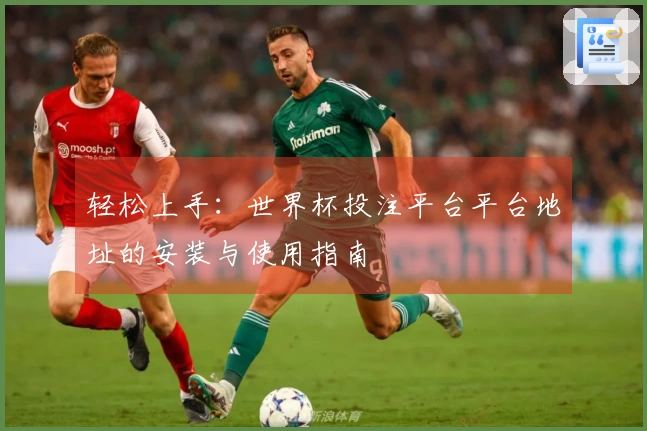 轻松上手：世界杯投注平台平台地址的安装与使用指南