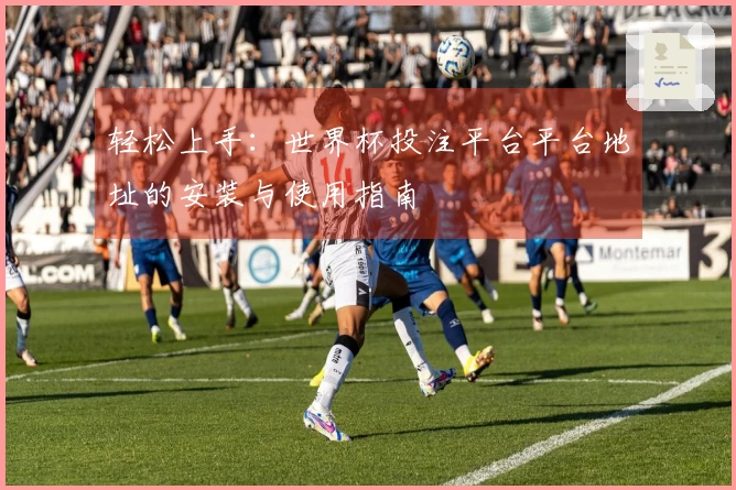 轻松上手：世界杯投注平台平台地址的安装与使用指南