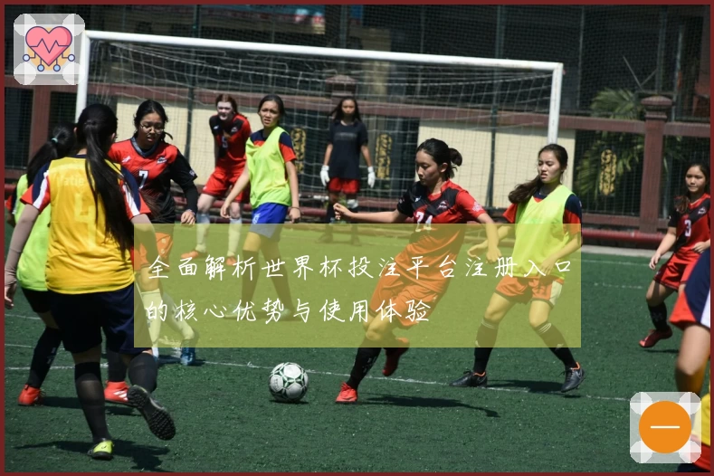 全面解析世界杯投注平台注册入口的核心优势与使用体验