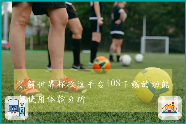 了解世界杯投注平台iOS下载的功能与使用体验分析